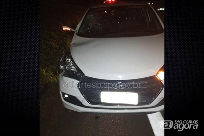 Pedestre morre atropelado em alça de acesso da Washington Luís  - 