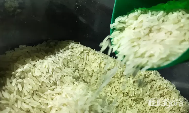 Arroz: preços caem após a agricultura do Rio Grande do Sul se recuperar da tragédia de 2024 - Crédito: Geraldo Bubniak/AEN/Divulgação/Agência Brasil