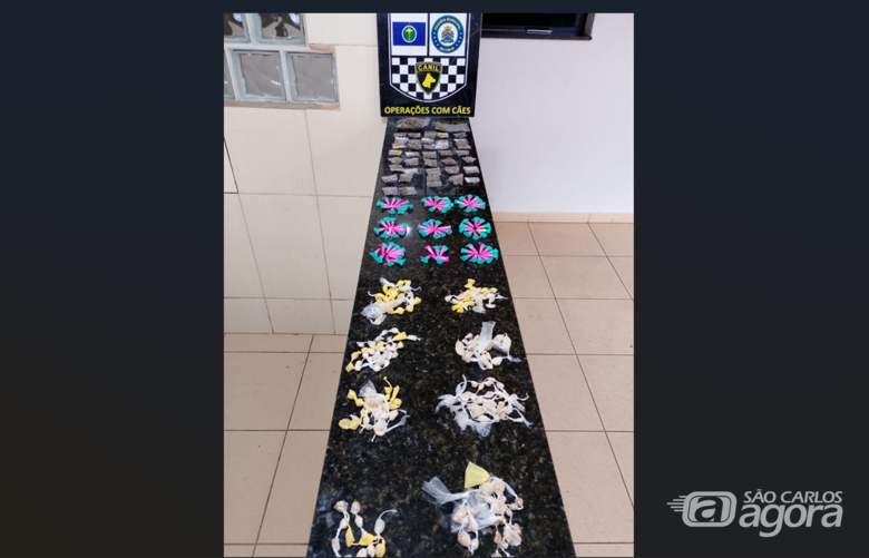 O material localizado foi apresentado na CPJ - Crédito: Divulgação