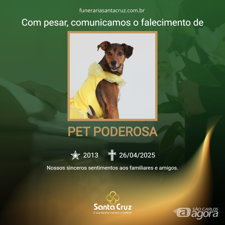 Homenagem do Grupo Santa Cruz à Pet Poderosa -