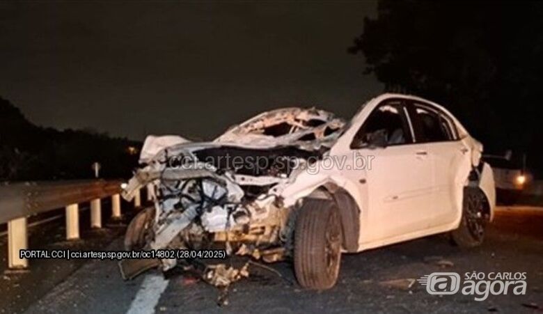 Motorista morre após atropelar cavalo em rodovia no interior de SP -