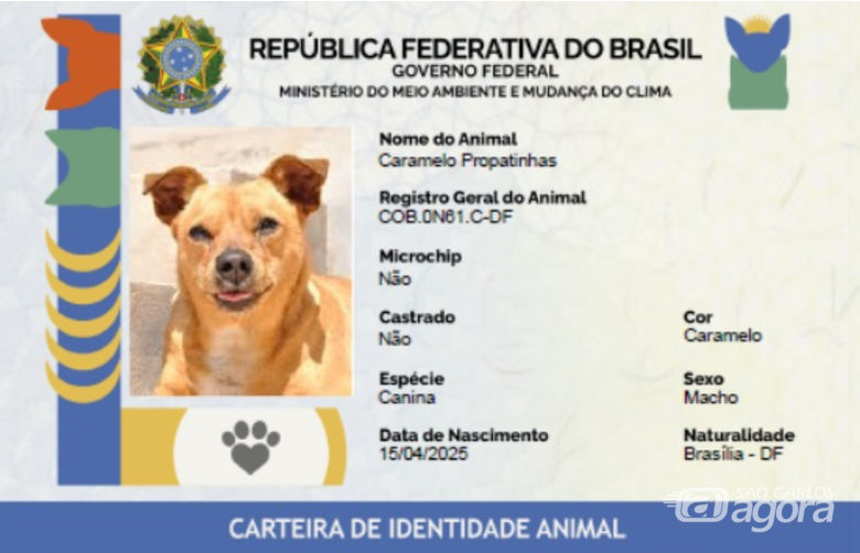 RG para cães e gatos - Crédito: divulgação
