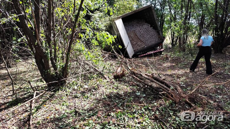 Caminhão ficou imobilizado entre árvores no canteiro central da SP-310 - Crédito: Maycon Maximino