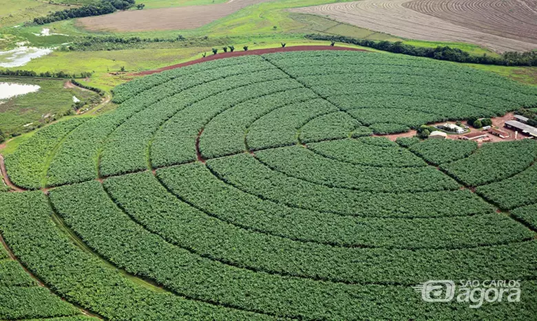 Agronegócio: o interior, puxado pela produção agrícola e pecuária induziu o crescimento econômico e o desenvolvimento para o interior - Crédito: Foto: Raylton Alves/Agência ANA/Agência Brasil