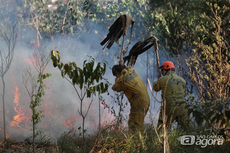 Bombeiros combatem incêndio - Crédito: Lourival Izaque