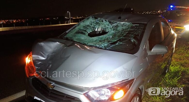 Pedestre morre atropelado por carro na Washington Luís -