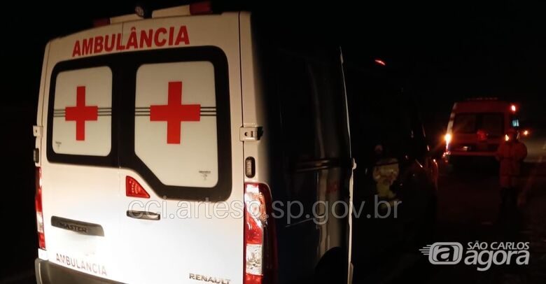 Ambulância atropela capivara na rodovia Washington Luís -
