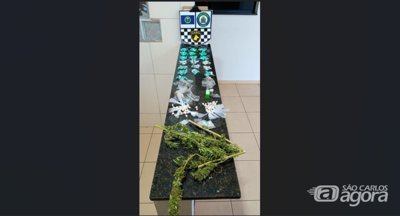 A droga foi apreendida pela GM e entregue na CPJ - Crédito: Divulgação