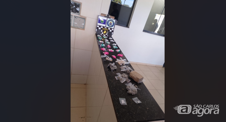 K9 Índia auxiliou os trabalhos da GM na Vila Jacobucci - Crédito: Divulgação