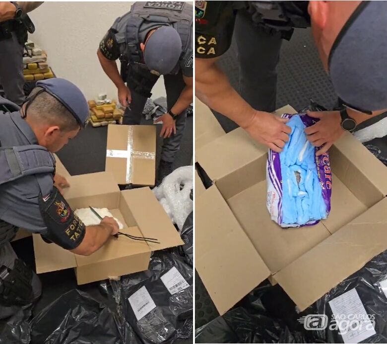 Força Tática desmantela quadrilha que despachava drogas pelo Correios - Crédito: divulgação