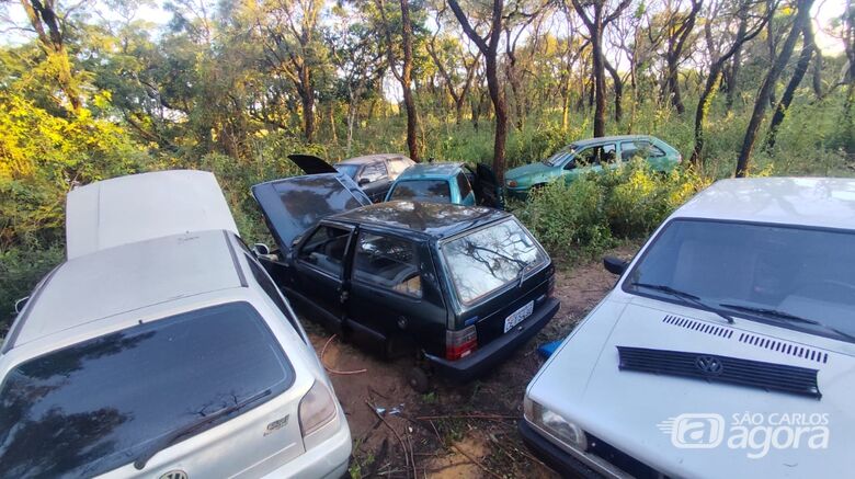 Veículos na mata  - Crédito: Maycon Maximino 