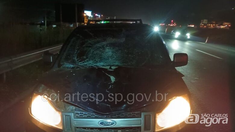 Homem morre atropelado na rodovia Washington Luís  - 