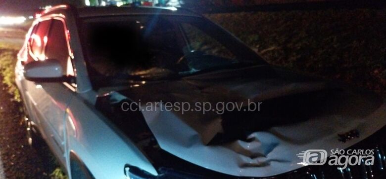 Pedestre morre atropelado na SP-330 -