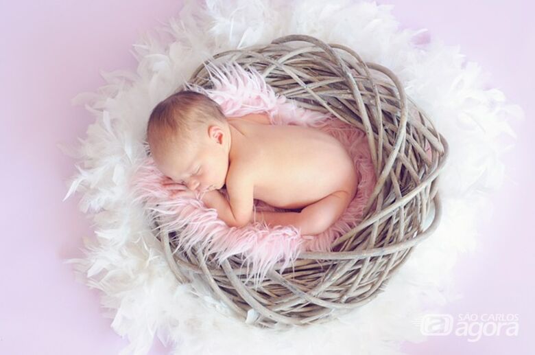 Bebê reborn - Crédito: Pixabay
