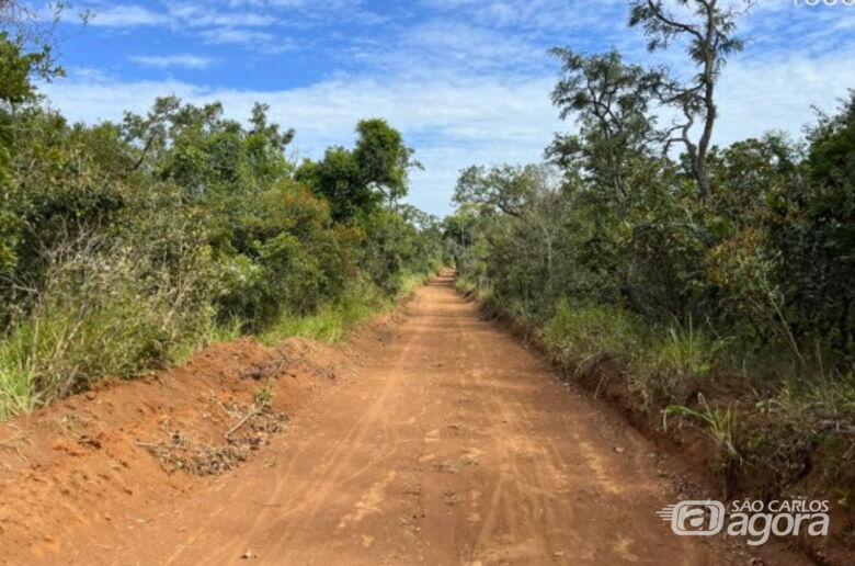 Queima prescrita em áreas do Cerrado da UFSCar é adiada -