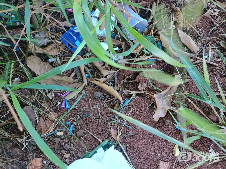 Cobras e escorpiões são vistos com frequência na pracinha do Jardim das Torres -