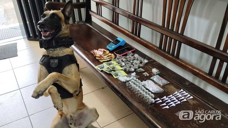 Com auxílio de cães, traficante foi tirado de circulação em São Carlos - Crédito: Maycon Maximino