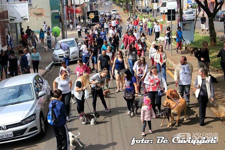 Circuito Cãominhada 2025: evento chega com novidades e mais locais em São Carlos - Crédito: Bê Cavichioli
