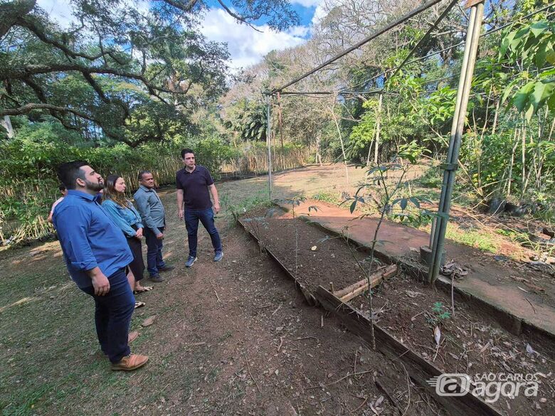 Horto conta atualmente com mais de 5 mil mudas - Crédito: Divulgação