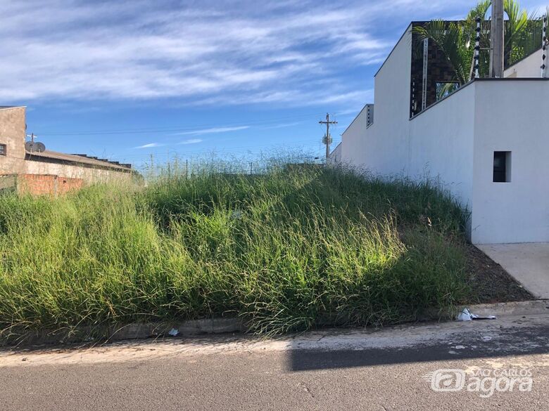 Prefeitura reforça que a manutenção dos terrenos é fundamental, especialmente neste período de seca - Crédito: Divulgação