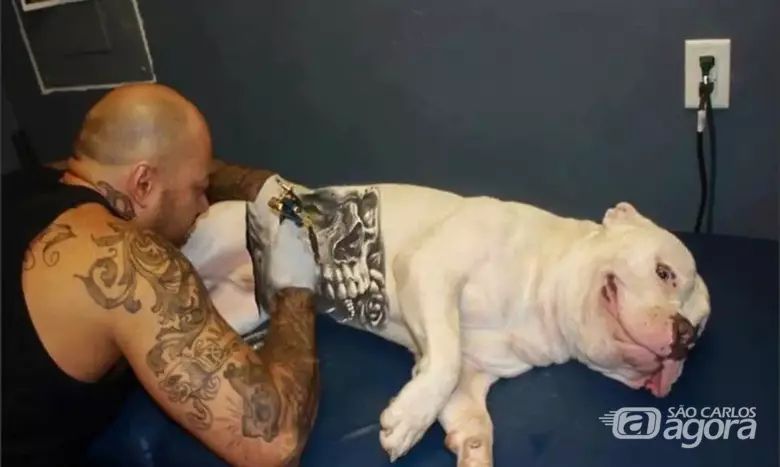 Homem faz tatuagem em cão - Crédito: Camâra Legislativa DF