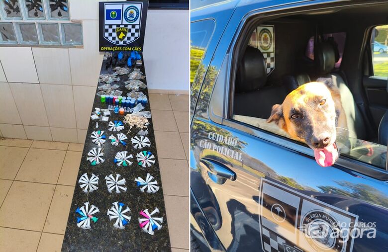 Equipe Canil da GM localiza drogas abandonadas no Santa Angelina em São Carlos - Crédito: divulgação