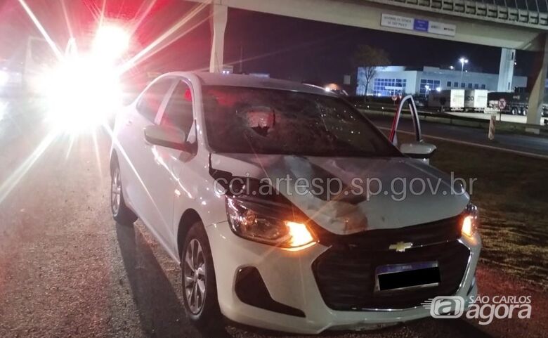 Mulher morre atropelada na rodovia Washington Luís -