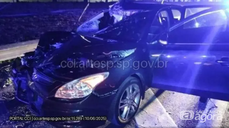 Duas pessoas morrem em atropelamento na SP-330 -