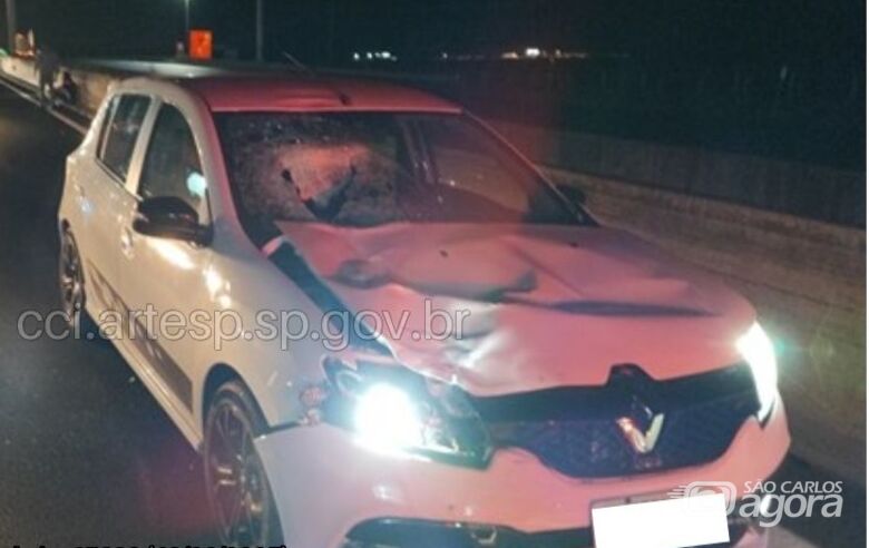 Pedestre morre atropelado na SP-330 - Crédito: Artesp