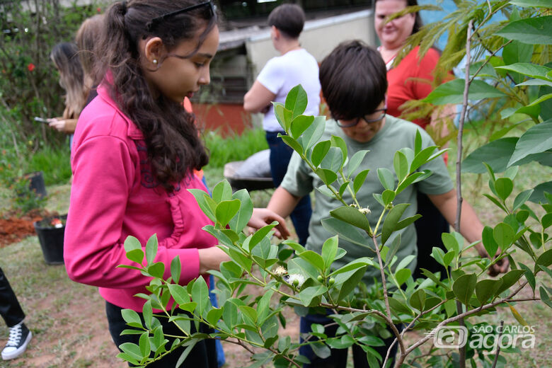 Crianças e adolescentes pelo clima: escolas têm até o dia 30 para organizar a Conferência pelo Meio Ambiente -