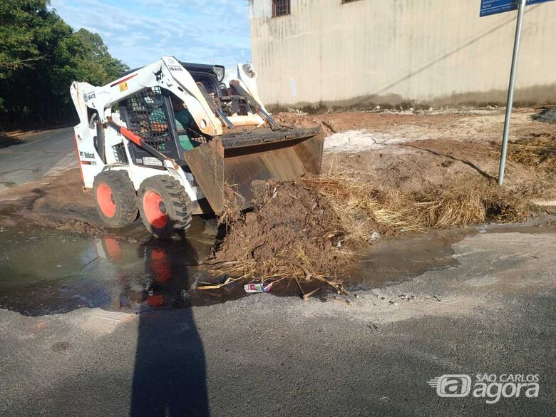 Secretaria de Serviços Públicos intensifica limpeza e manutenção no Jardim Primavera e José Giro -