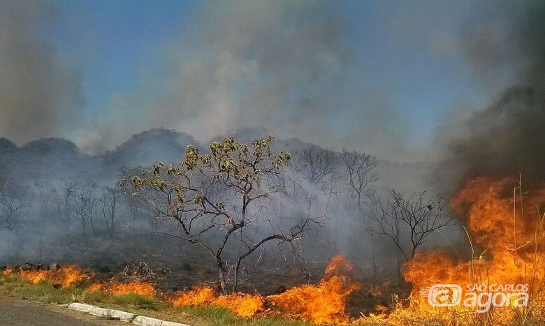 Queimada em São Carlos -