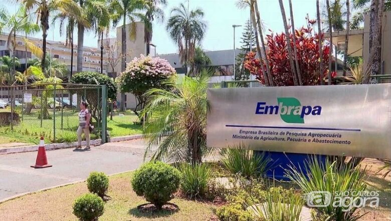 O estudo da Research.com considerou 26 áreas do conhecimento de mais de 70 países - Crédito: Divulgação Embrapa