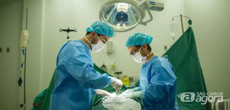 Nova técnica no SUS acelera cicatrização do pé diabético e melhora recuperação ocular - 