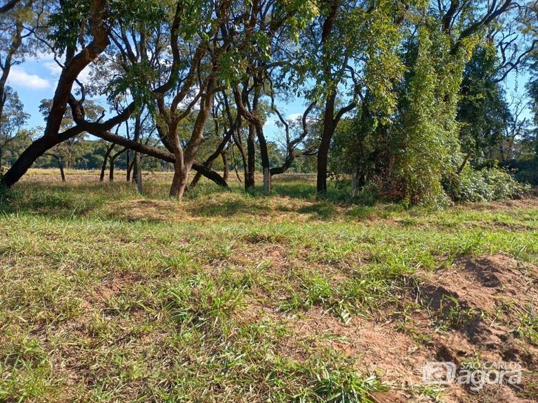 Corpo em decomposição é encontrado às margens da SP-225 - Crédito: Artesp