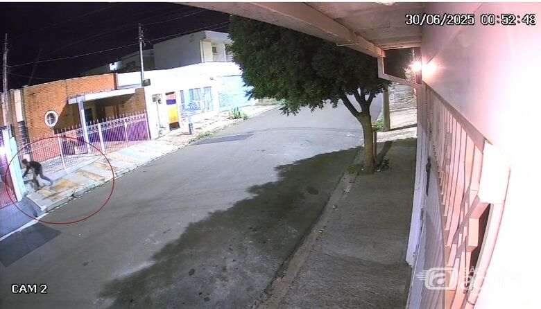Câmera de segurança flagra ladrão furtando hidrômetro em São Carlos; veja o vídeo -