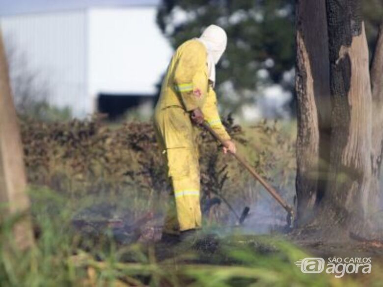 São Carlos é 1º município paulista a contratar bombeiros por meio da Dejem - Crédito: Bombeiro combate queimada em São Carlos