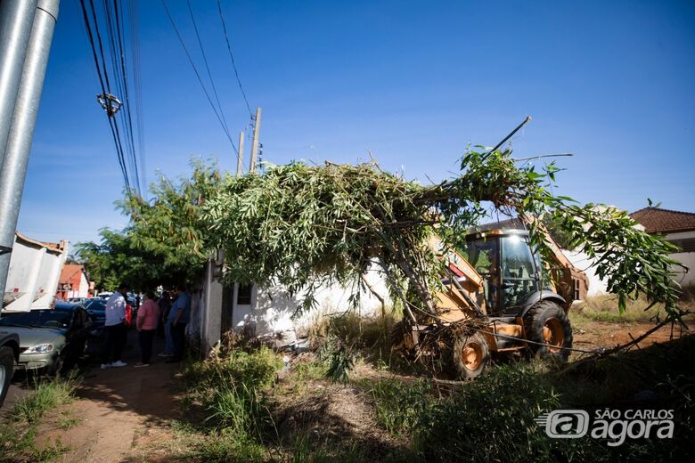 Fiscalização aplica quase R$ 320 mil em multas por terrenos sujos e calçadas irregulares - 