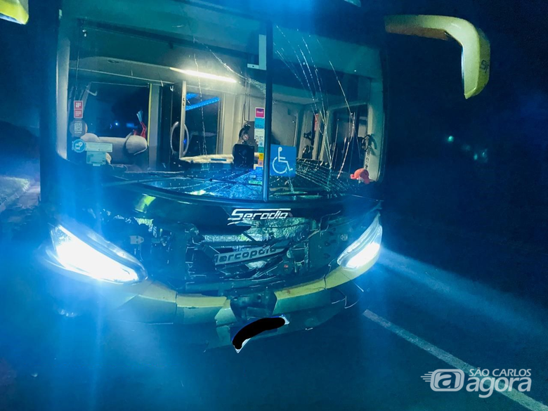Ônibus atropela três bois na SP-330 - Crédito: Artesp