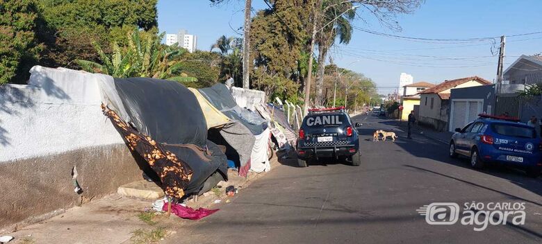 Canil da GCM apreende drogas durante operação em ocupação irregular na região da rodoviária  - Crédito: divulgação