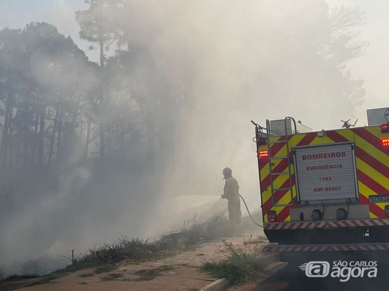 Bombeiros combatendo as chamas - Crédito: Lourival Izaque