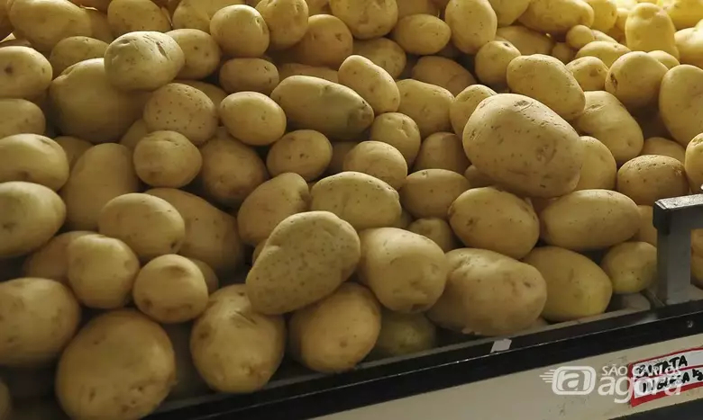 Batata - Crédito: Agência Brasil 