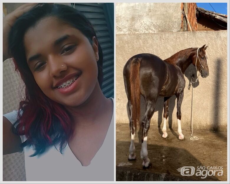 Adolescente e cavalo se recuperam de acidente no Santa Angelina  - Crédito: Arquivo pessoal 