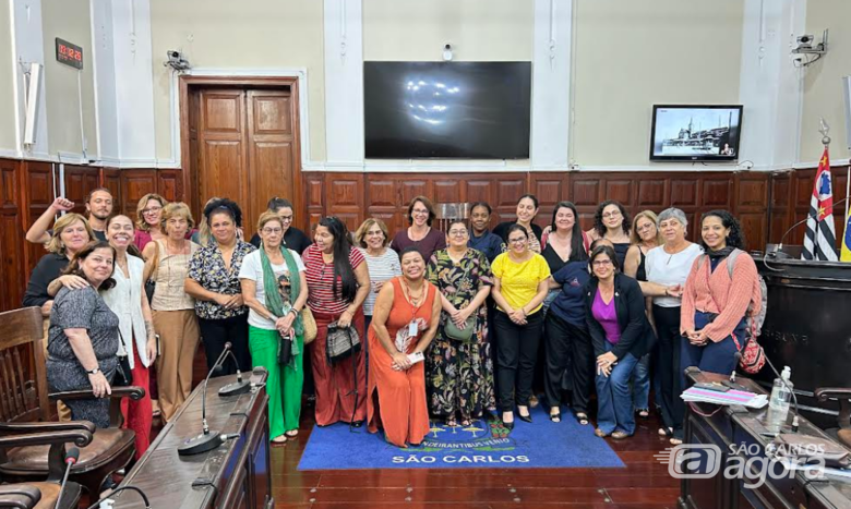 Audiência Pública debate fortalecimento das políticas de acolhimento às mulheres vítimas de violência -