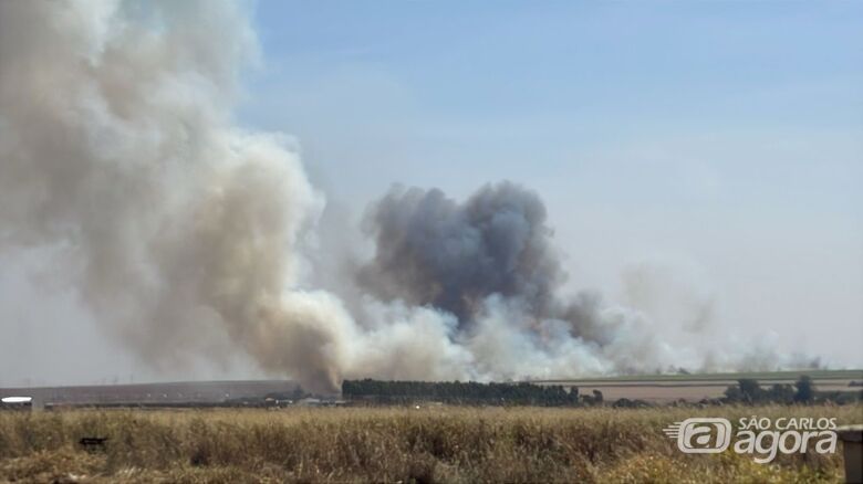 Incêndio em canavial de Ibaté - Crédito: Lourival Izaque
