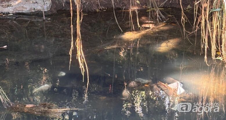 Local onde corpo teria sido encontrado - Crédito: Grupo Rio Claro 