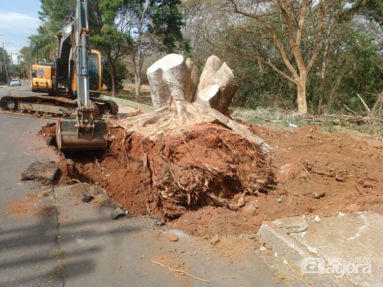 Prefeitura de Ibaté remove tronco de árvore que obstruía calçada e rua no Jardim Mariana -