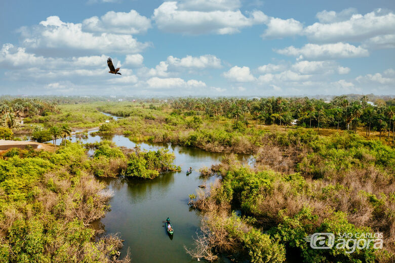 Pantanal - Crédito: Freepik