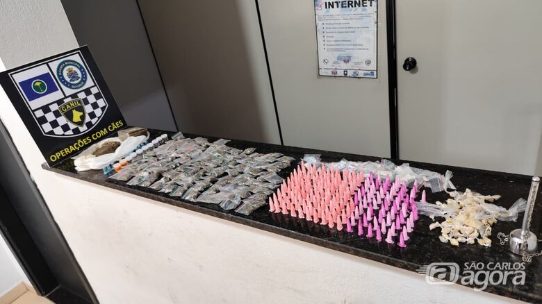 Canil da Guarda Municipal apreende grande quantidade de drogas em área de preservação - Crédito: Maycon Maximino