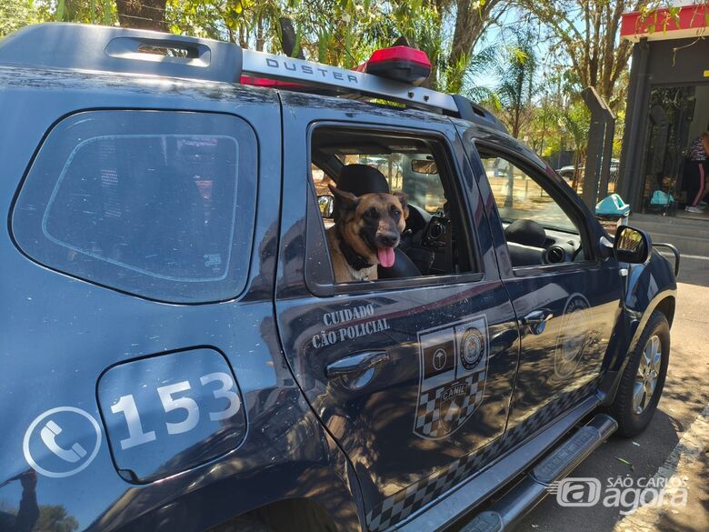 Guarda Municipal localiza grande quantidade de drogas com apoio da K9 Índia no Jardim Hikare - Crédito: Divulgação 
